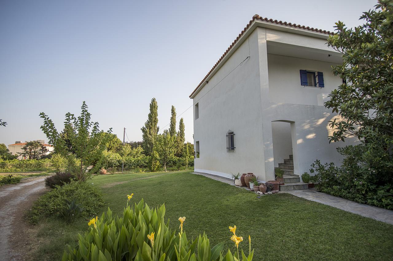 Eressos Ilios Apartments Σκάλα Ερεσού Εξωτερικό φωτογραφία